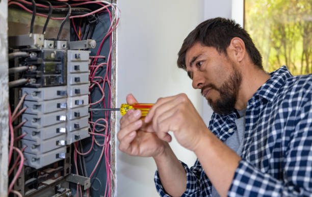 Best Electrical System Inspection  in Eidson Road, TX